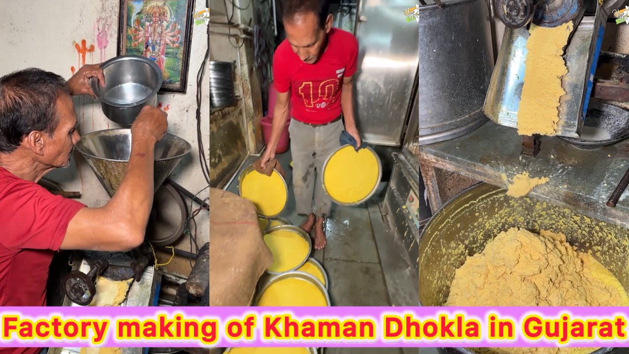 Factory making of Khaman Dhokla in Gujarat😍😍 Complete secret recipe of Gujarati Dhokla 🤩🤩