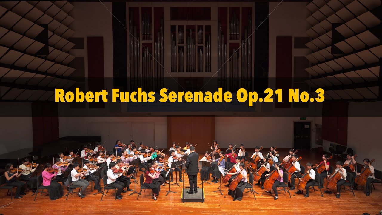 Robert Fuchs Serenade Op.21 No.3