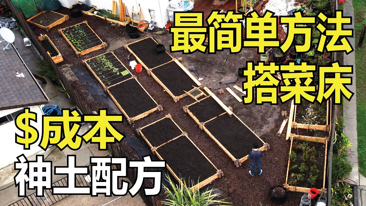 【园∙第24期】最简单的菜床搭建全过程｜材料、土壤配方、成本全解析