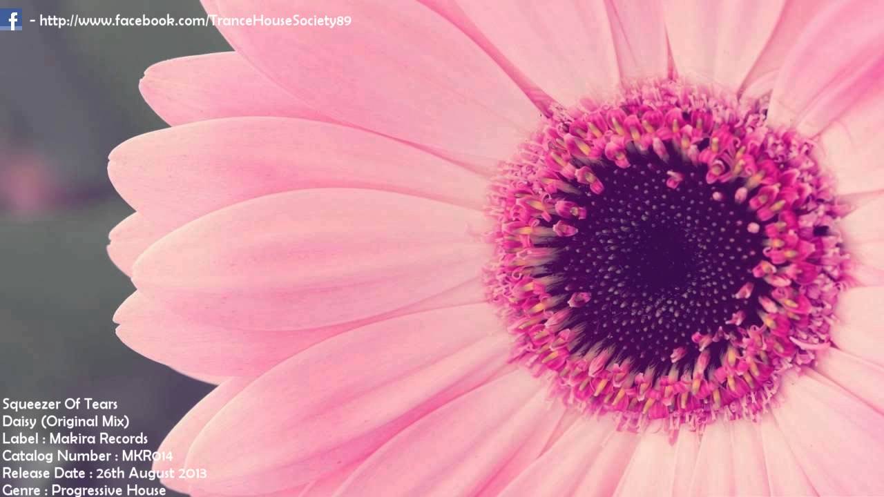 Squeezer Of Tears - Daisy (Original Mix) [MKR014] [Out 26 08 2013] [THS89]