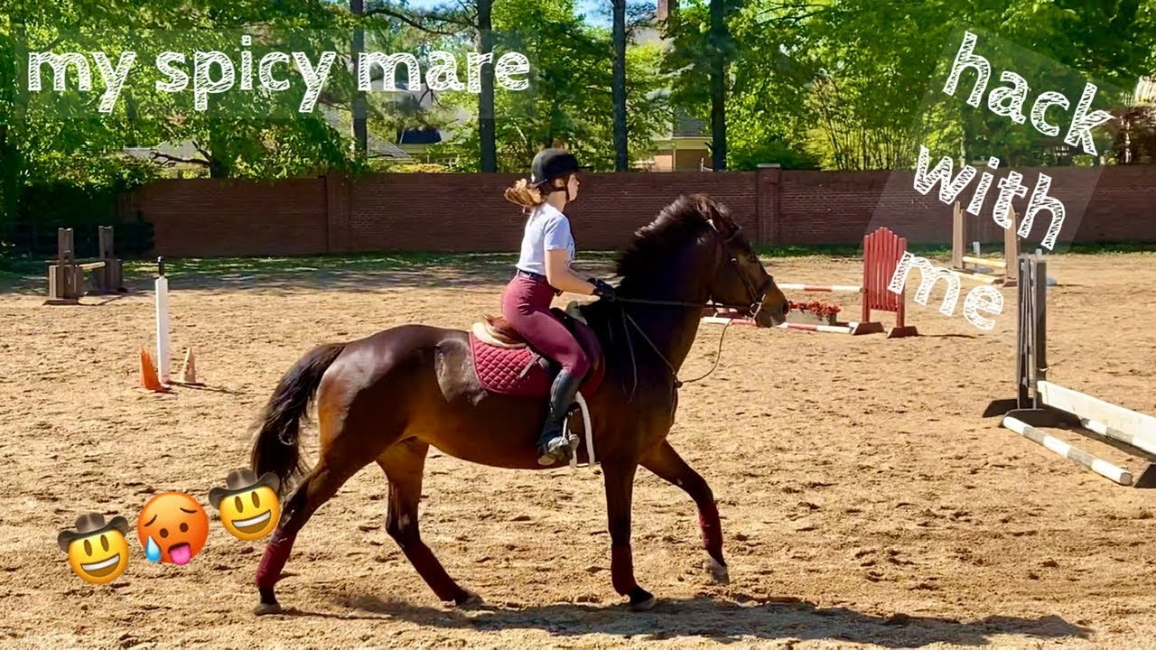 hack with me &mdash; how I hack my spicy mare