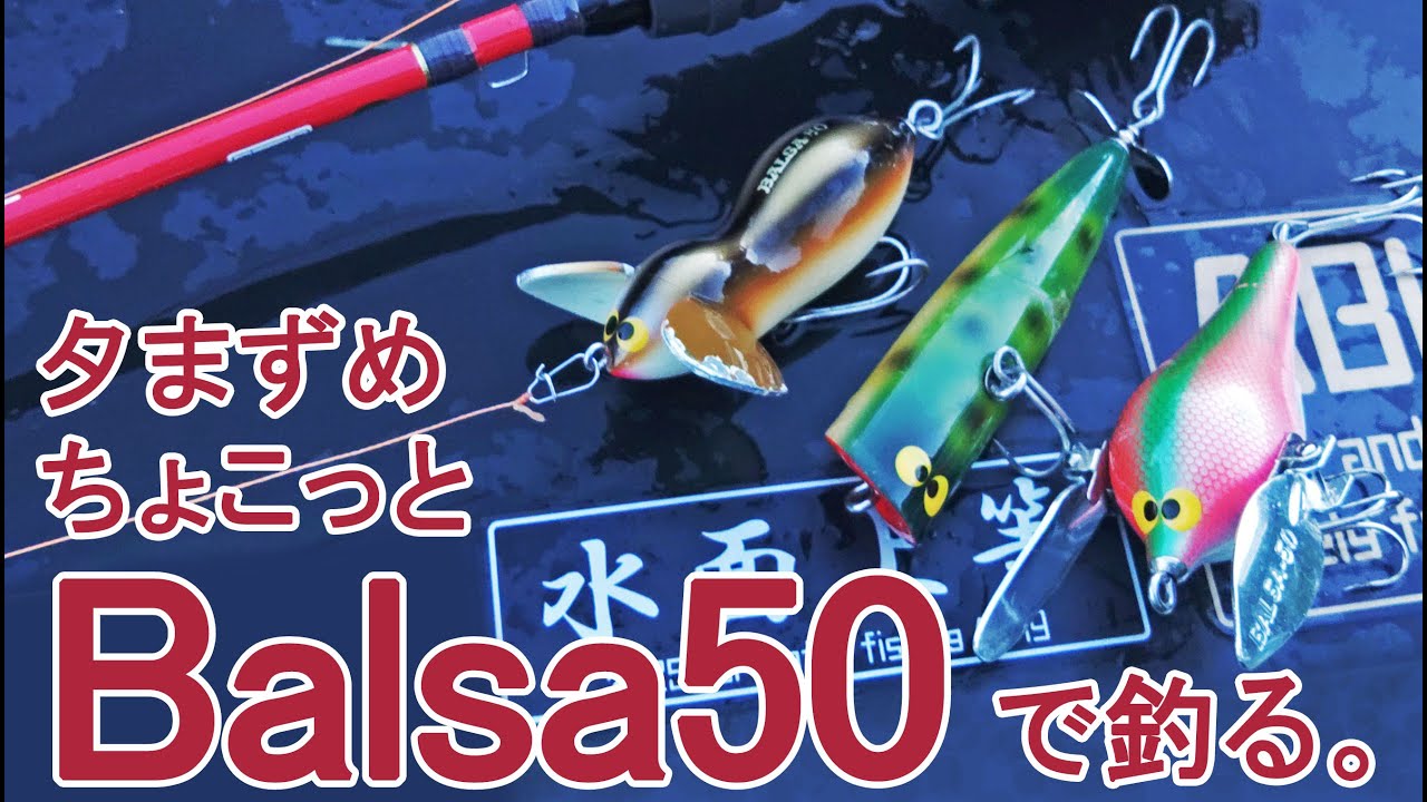 【トップウォーター】夕まずめ。バルサ50のラージマウスで小さなラージマウスバスが爆釣(当社比)したお話。　#バルサ50 #トップウォーター #Ambassadeur #スーパーストライク