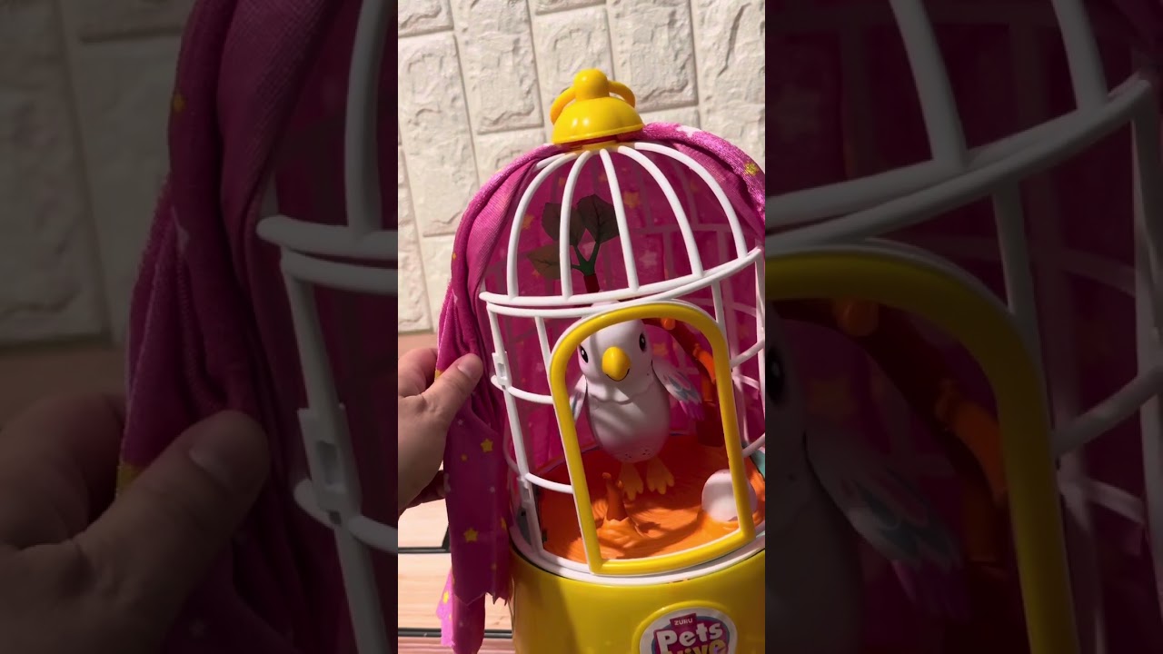 אנבוקסינג - קיפסתוח פולי הציפור הקסומה - Unboxing polly the magic bird