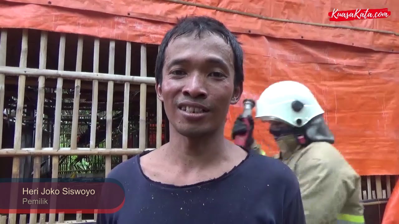 Gara-gara Korsleting Genset, Ternak Ayam Terbakar