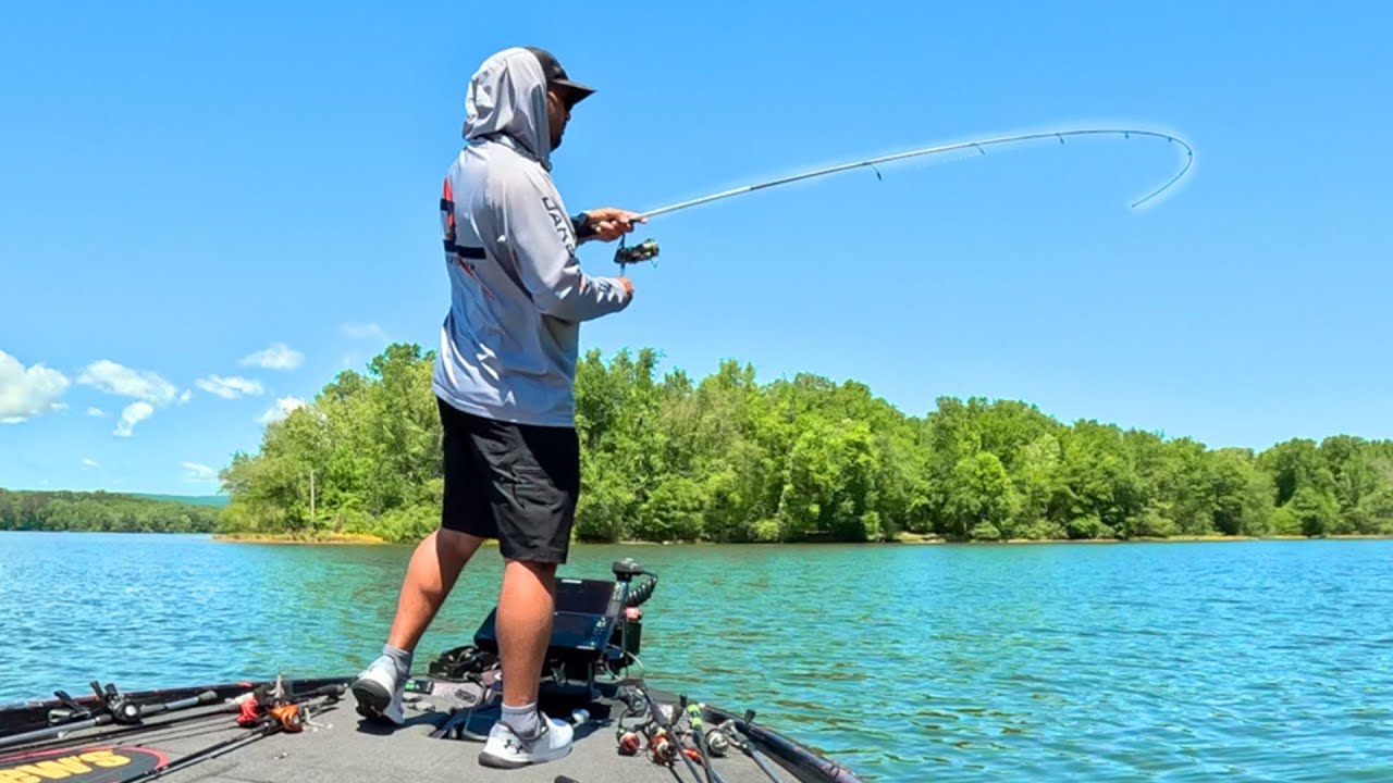Gran Reto De Pesca Contra Una Estrella De Cine