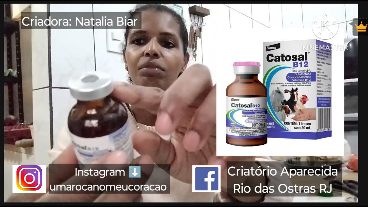Catosal B12 Vitamina pras Galinhas e Aves
