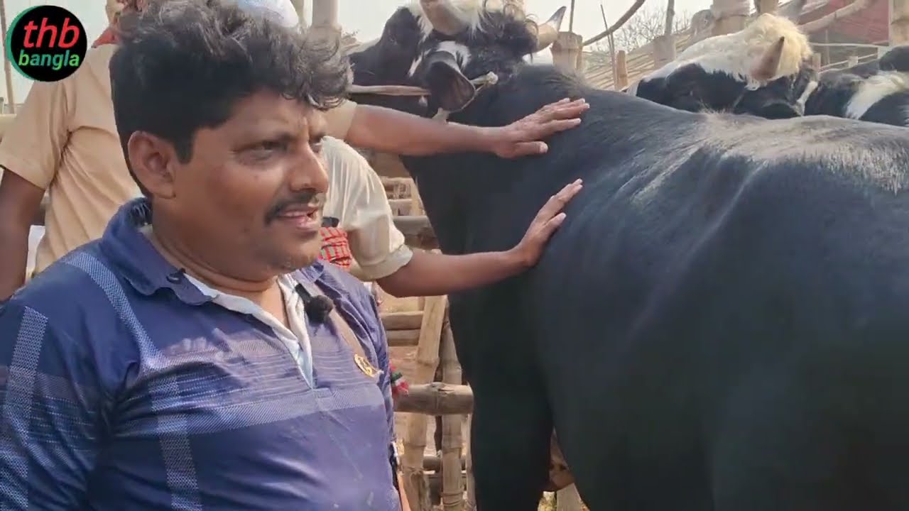 ভিতরে কিছু নাই ফাঁকা এই গোস্ত খেয়ে মজা পাবে না আকরাম 