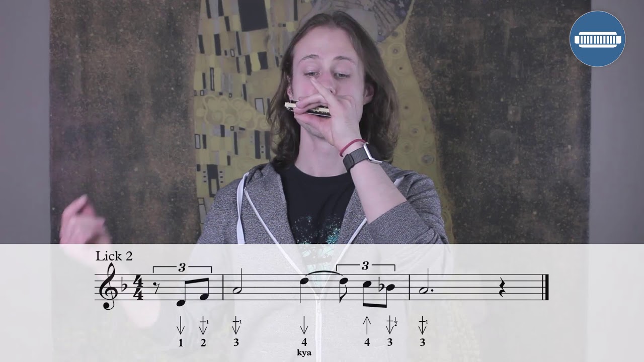St. James Infirmary Blues Harmonica Lesson on C harmonica