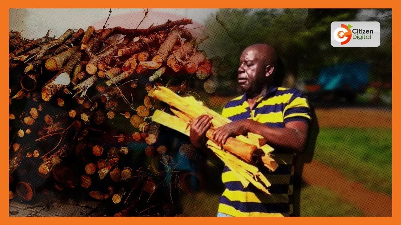 Ex-Vihiga Governor Caleb Amaswache turns to wood vendor