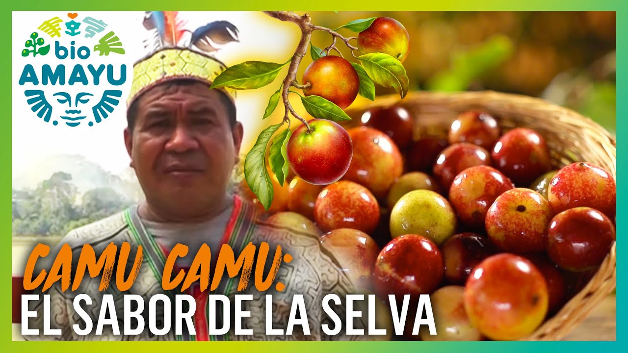 Camu Camu: SUPERFRUTA con m&aacute;s Vitamina C del MUNDO | BIO AMAYU