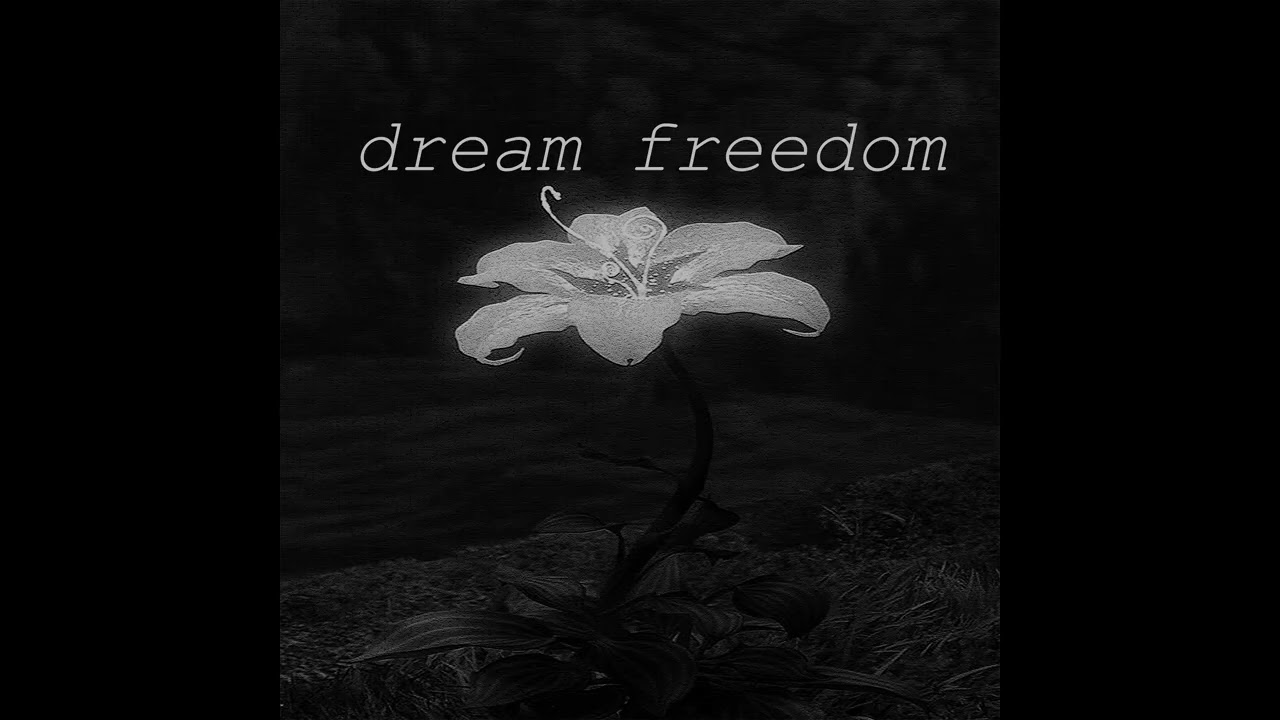 dream freedom | WhyHot