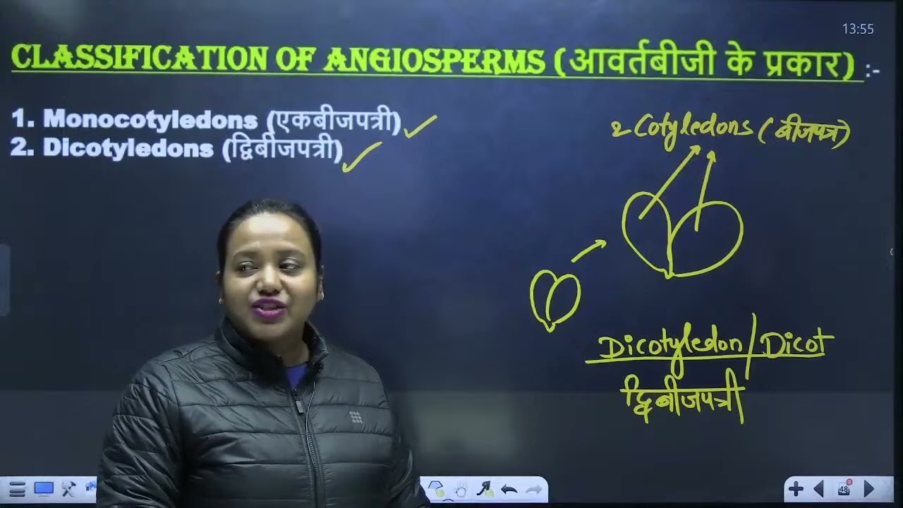 Lecture     Plant Kingdom    पादप जगत Part 03