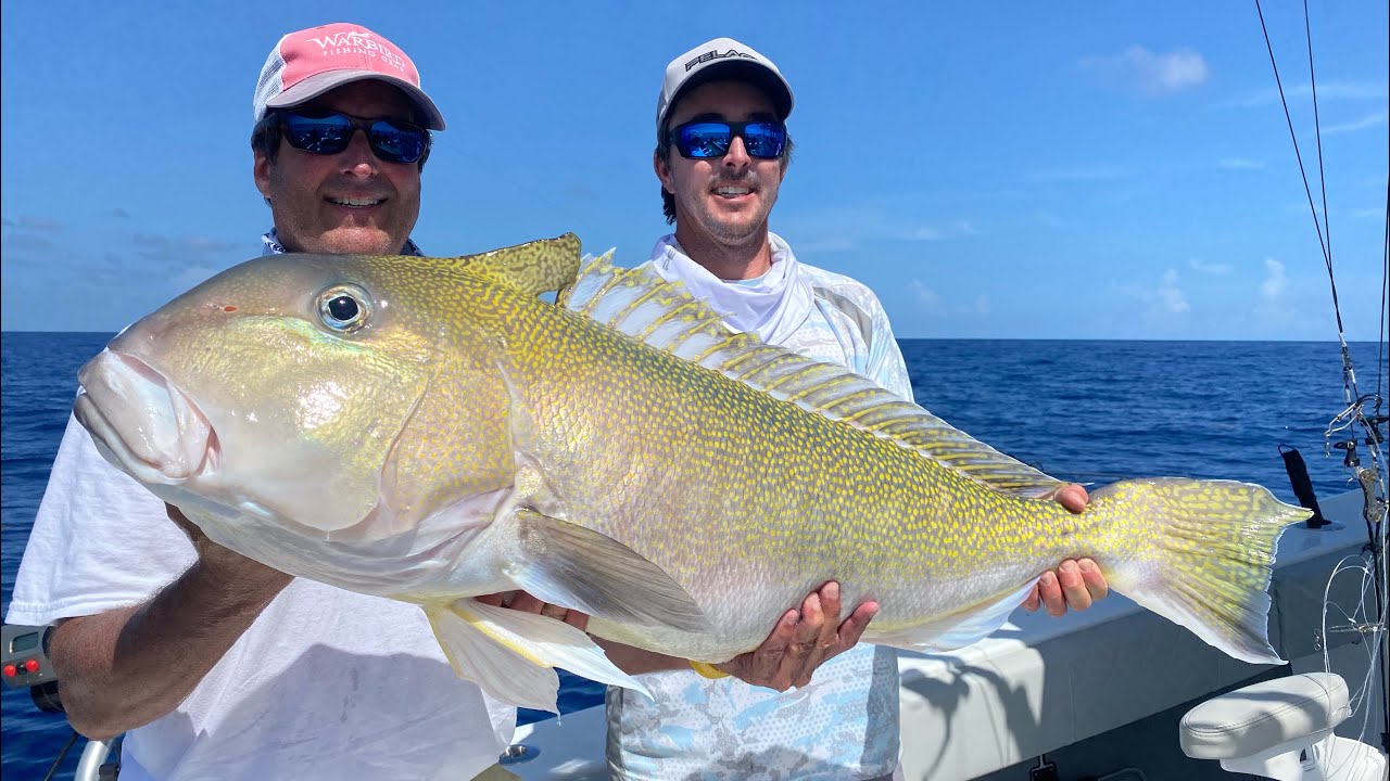 GIANT* GOLDEN Tilefish! 2 Day fishing trip in Islamorada! Catch and Clean