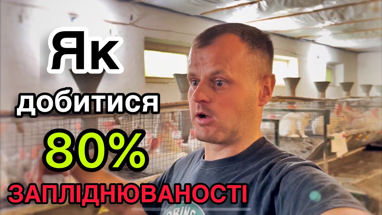 🅾️Чому кролиці не приходять в охоту?🤷‍♂️🅾️