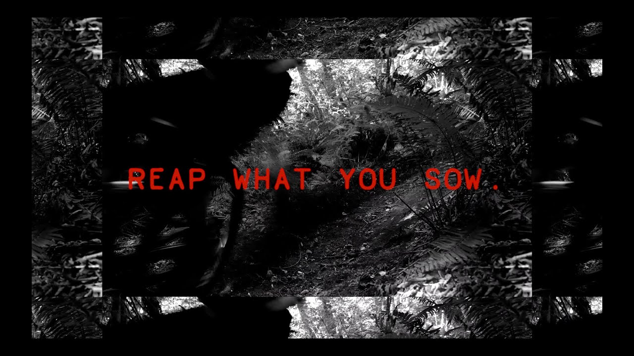 Reap What You Sow. || Freeride MTB Edit ft. the Broken Tool Trails Crew