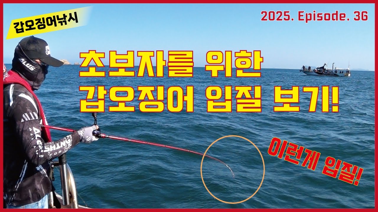 갑오징어낚시 - 초보자 분들을 갑오징어 입질 보기! (초릿대 확대편집)
