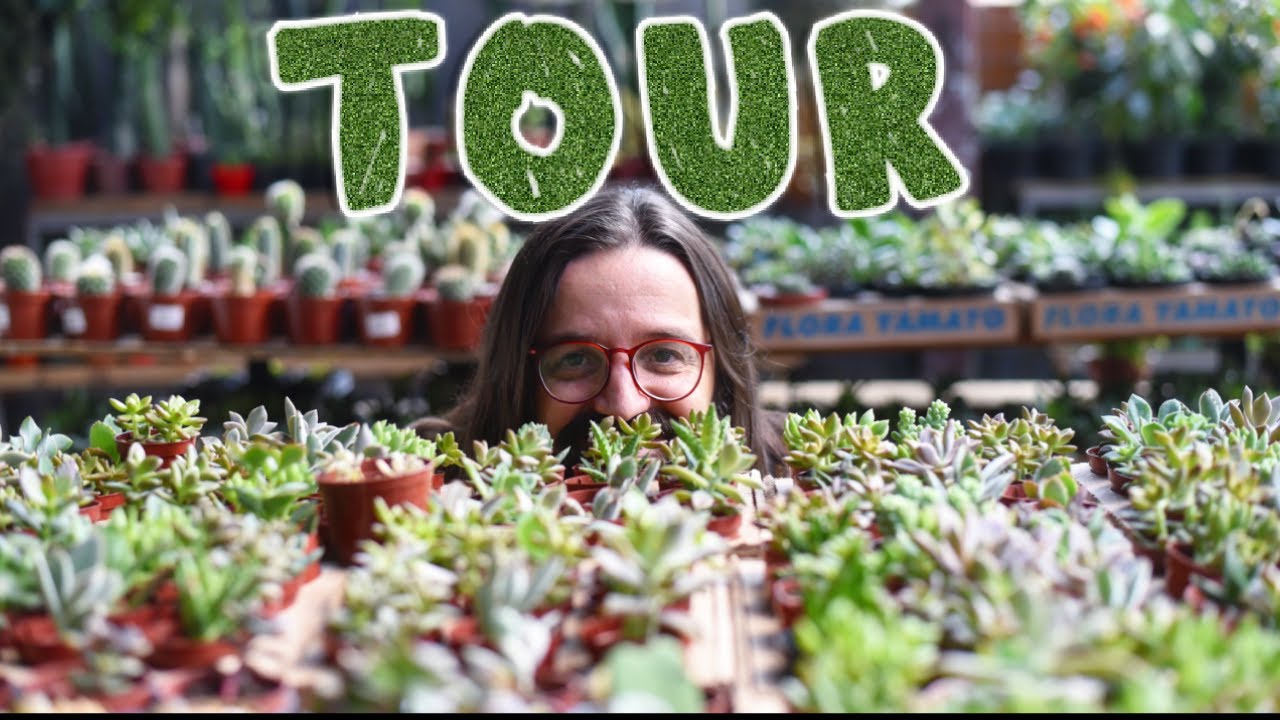 TOUR pelas PLANTAS da FLORICULTURA CHARLES JARDINS