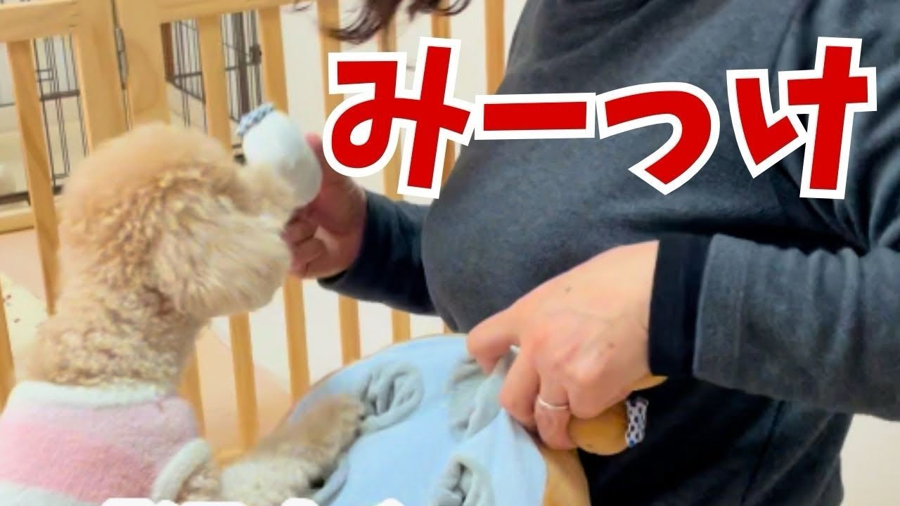 みっけ！