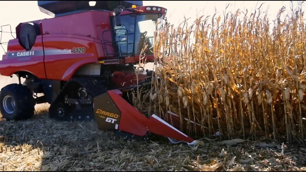 The Drago GT. Learn more about the best corn head on the market today