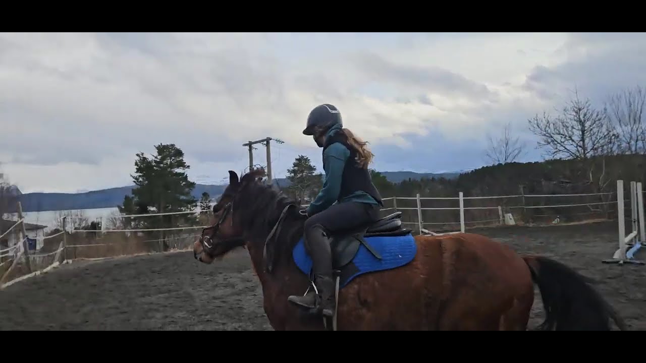 Sports pony in training
