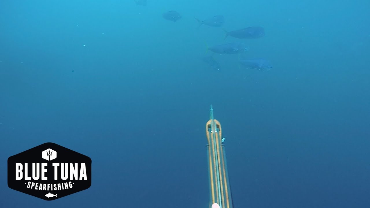 Shooting Dorado with Andre Reef Roller