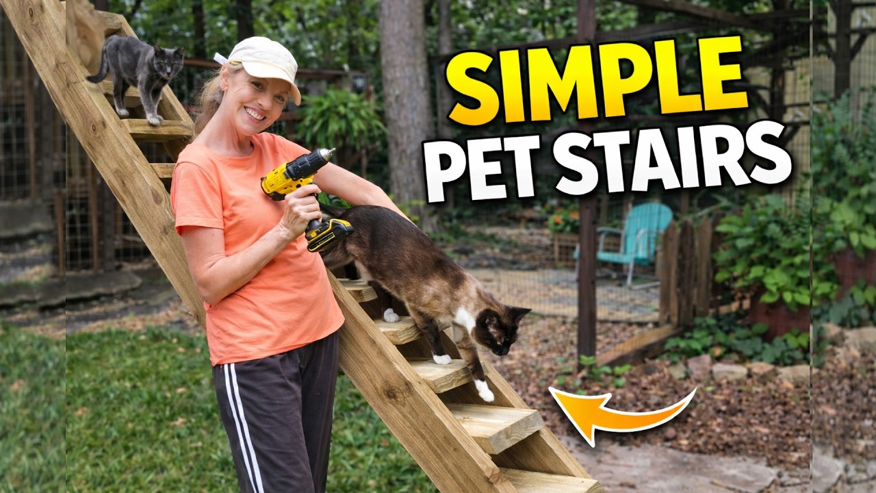Step-by-Step Whisker DIY Staircase Build: for Home or Catio. 🐈