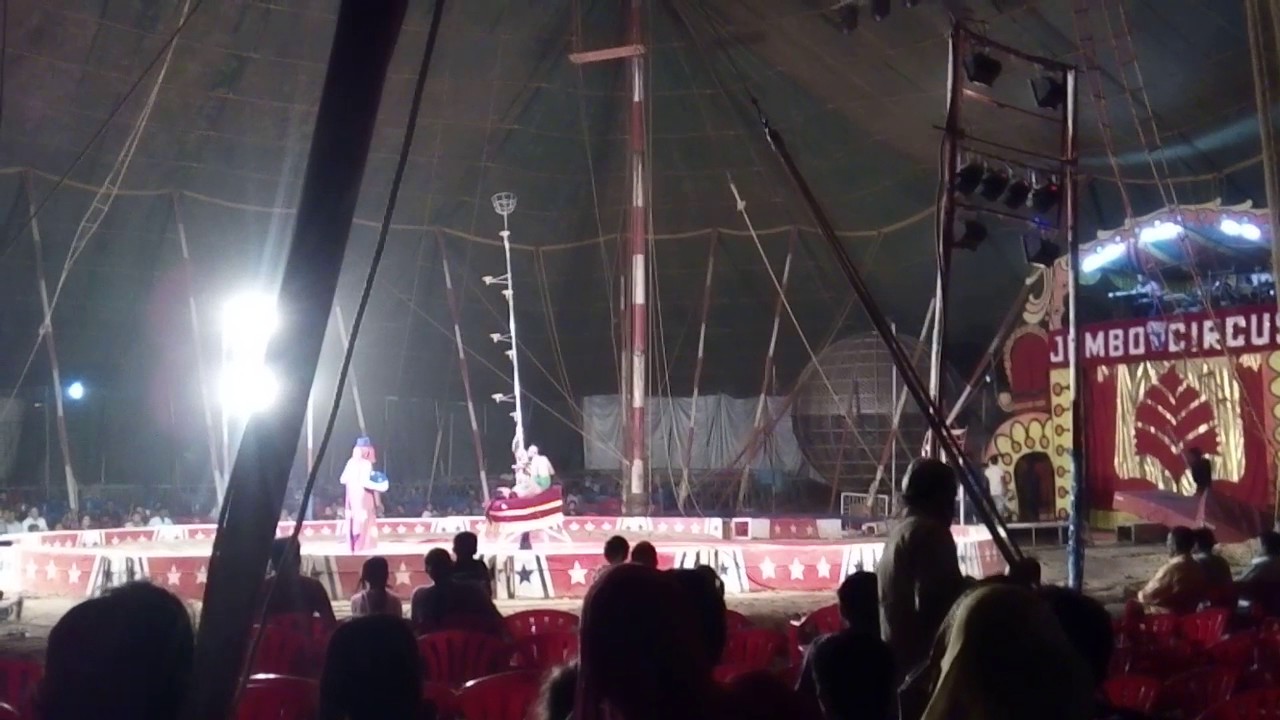 Longest height basket ball stunt by girl in jumbo circus