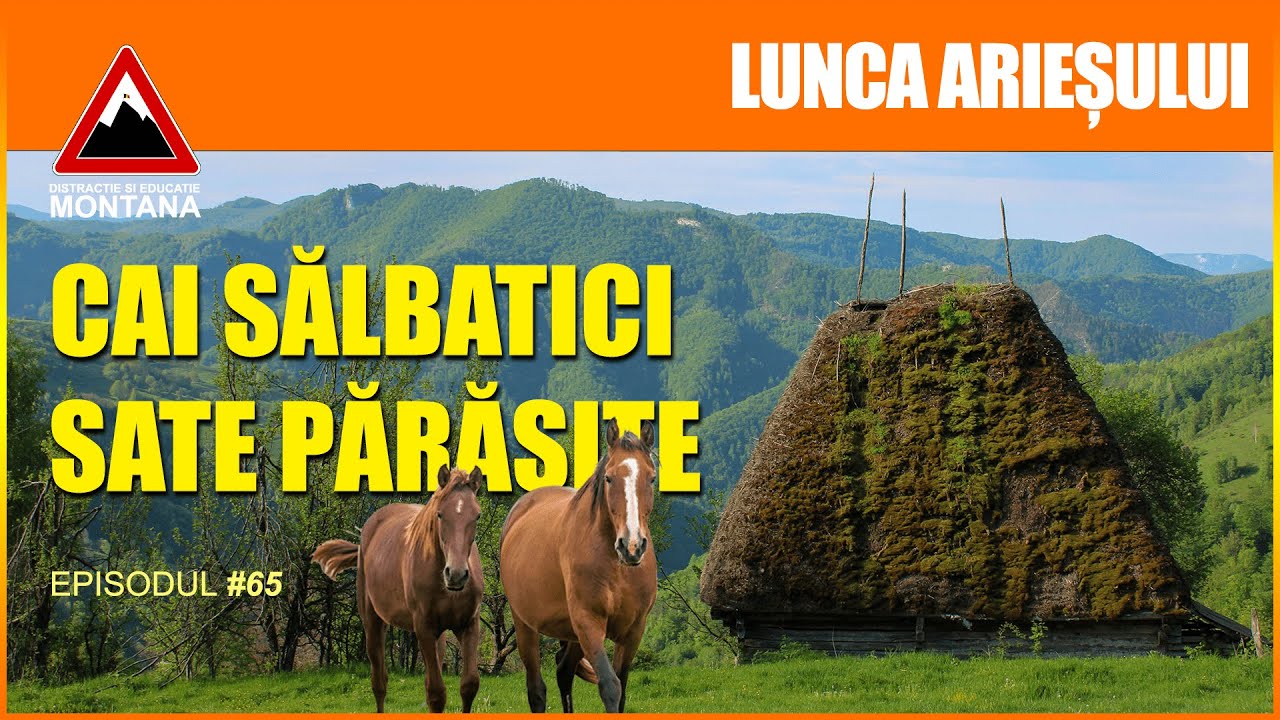 Traseu Montan: Lunca Ariesului - Scarita Belioara (Episodul 65) DISTRACTIE SI EDUCATIE MONTANA