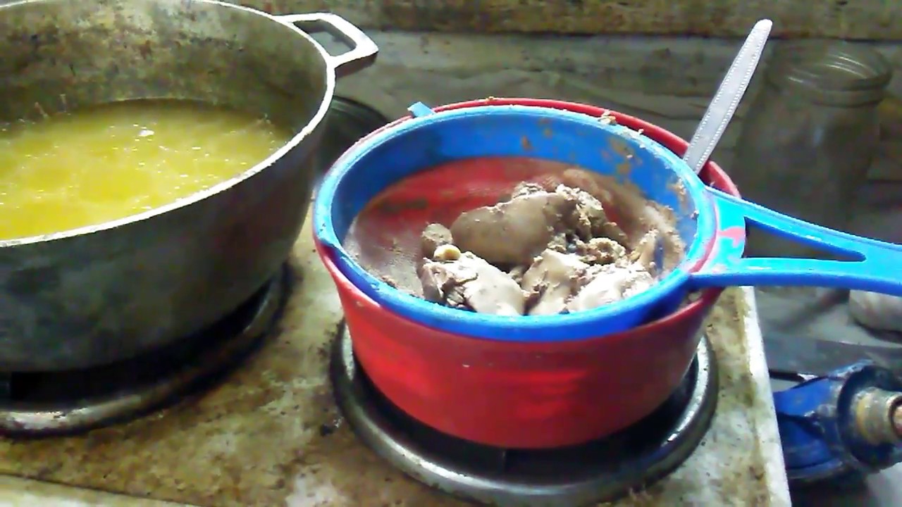 Preparación del mejor alimento para hacer crecer tus Bettas rápido