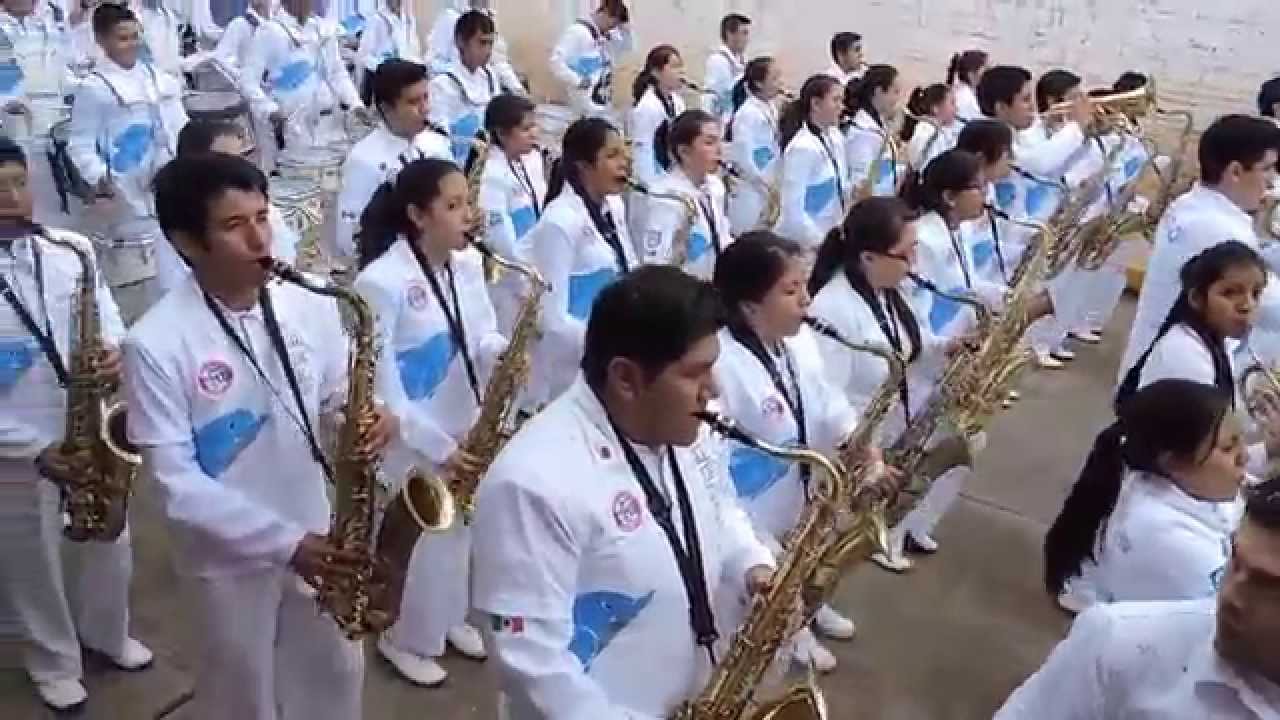 Delfines Marching Band Desfile Chignahuapan 2014 
