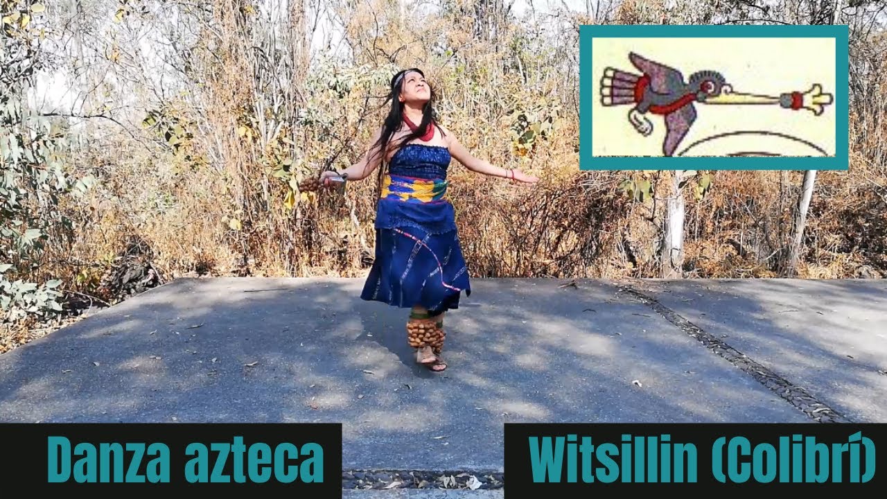 Witsillin (Colibrí)