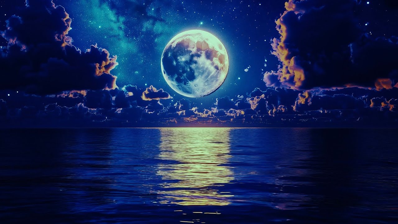 Calm Ocean Environment | Night Background Sound