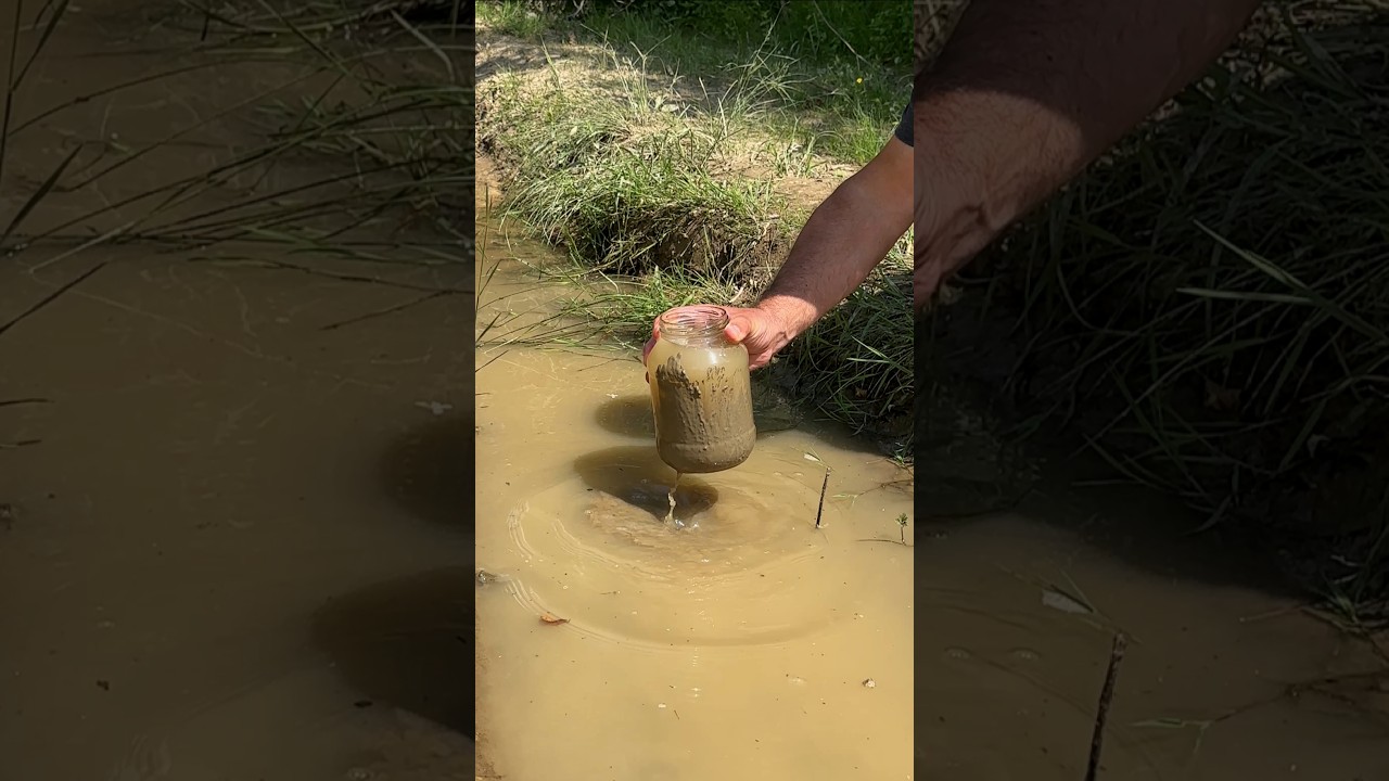 Amazing Way to Purify Dirty Water &mdash; This Could Save Your Life! #campping #lifehacks #survival