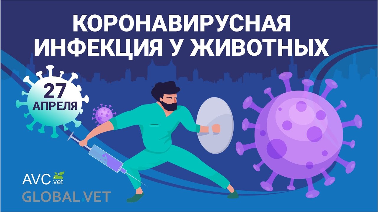 Коронавирусная инфекция у животных (ветеринарный семинар)