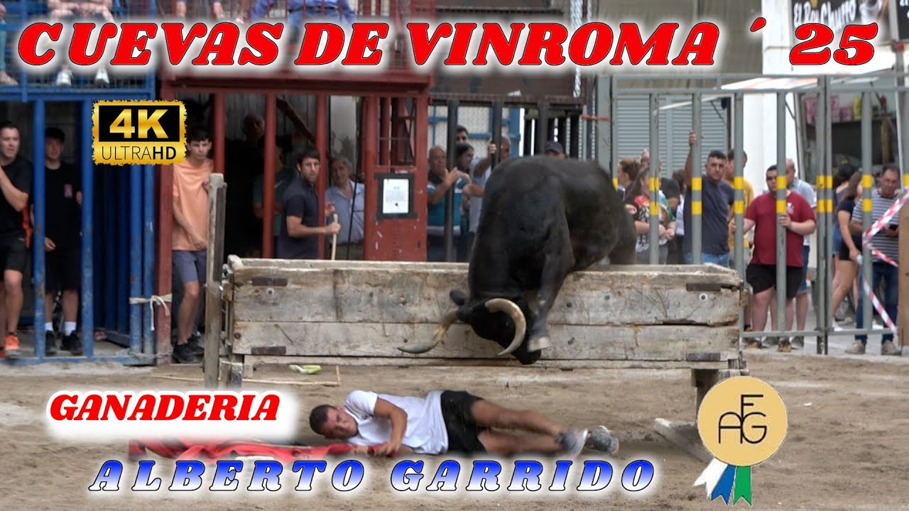 🔝🔝🔝CUEVAS DE VINROMA 25 GARRIDO
