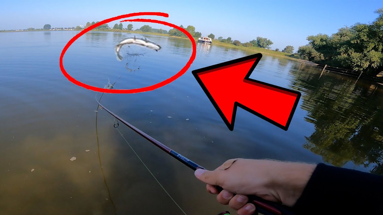 Vissen Op Een Grote Rivierplas! (BIZARRE Topwater aanbeet!)