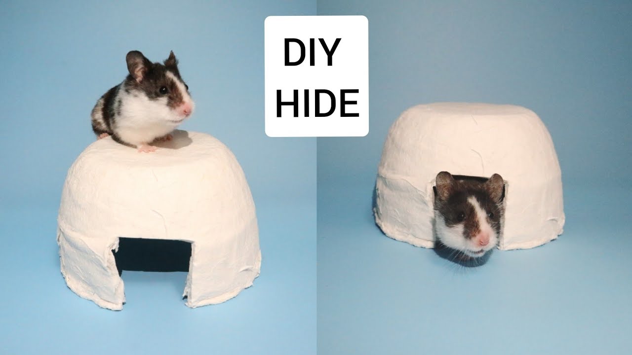 DIY PAPER MACHE SMALL ANIMAL HIDE