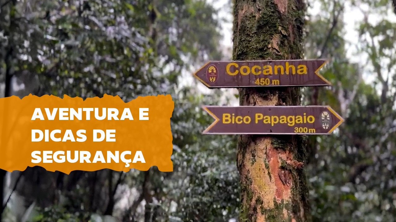 Conhecendo a Floresta da Tijuca | Pé na Trilha
