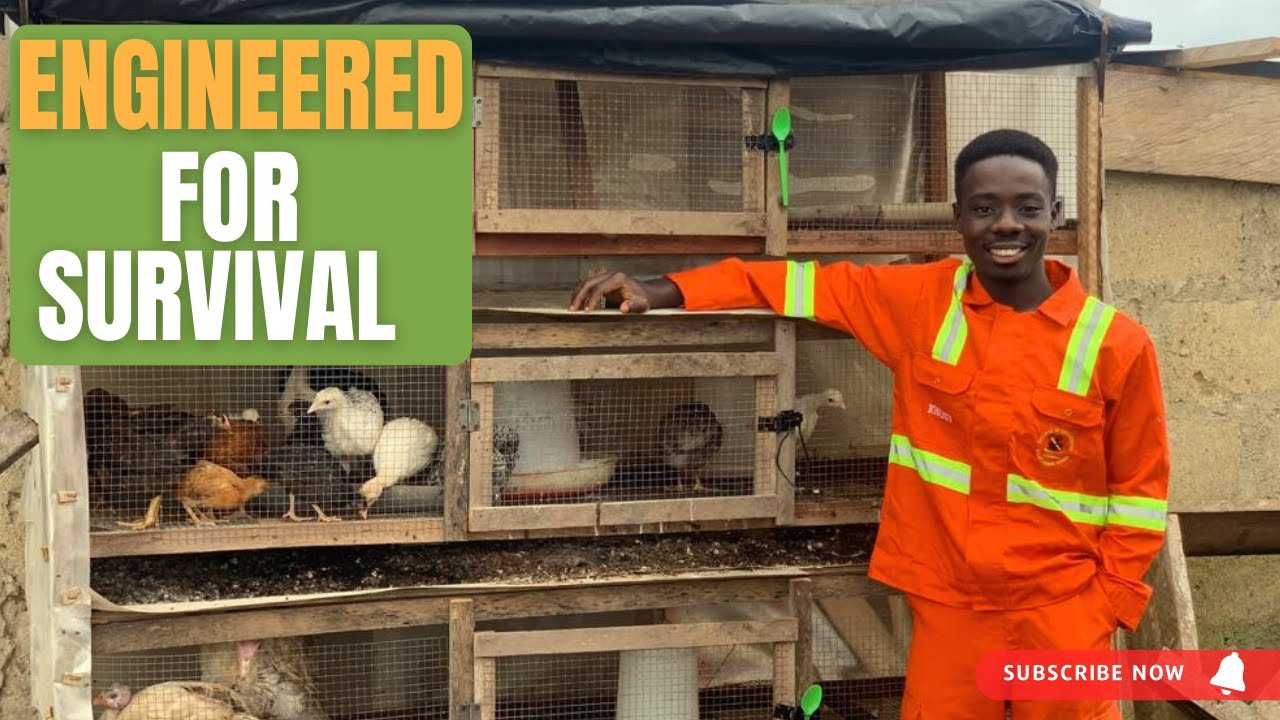 How to Make a Chicken Coop Easy to Clean: Disease Out!