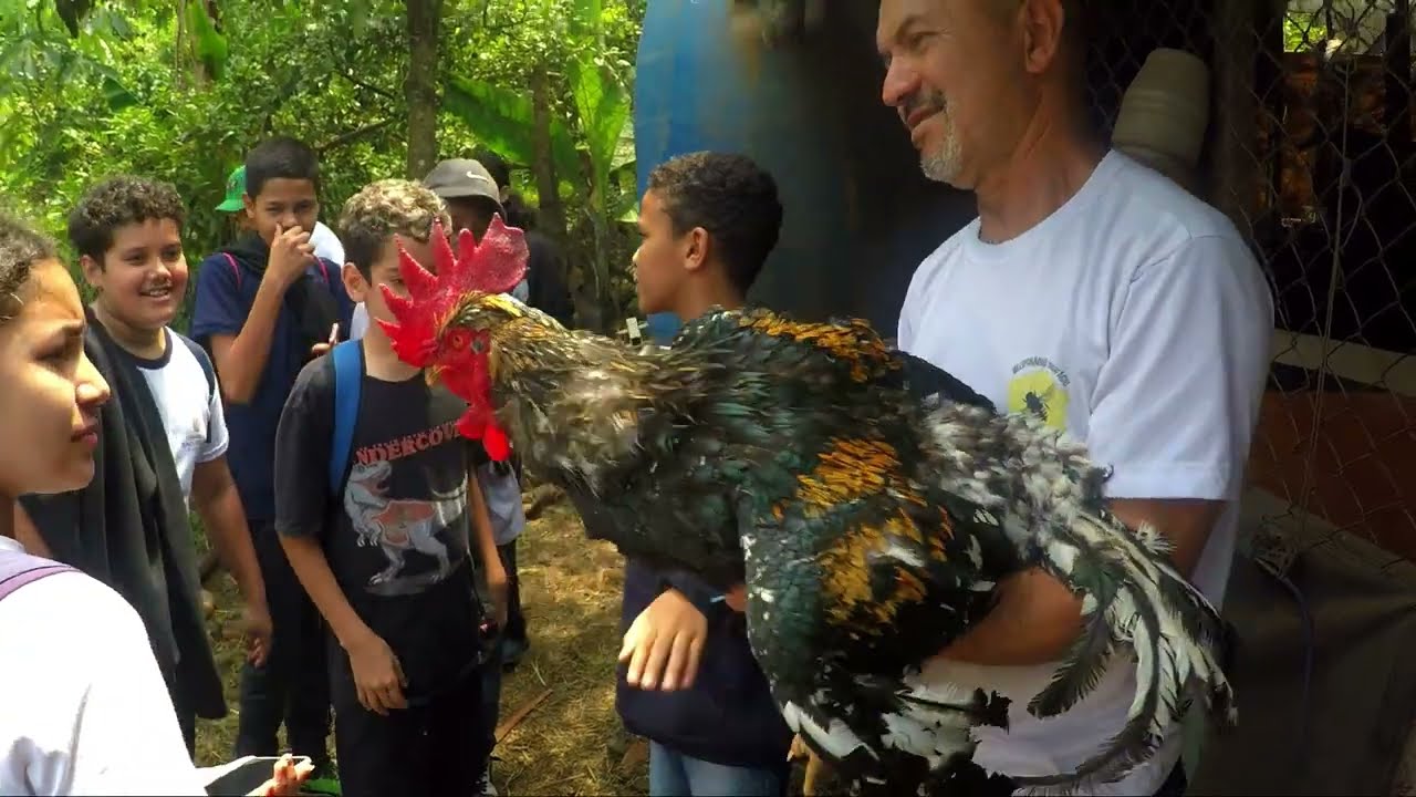 UM DIA DE CONTATO COM A NATUREZA