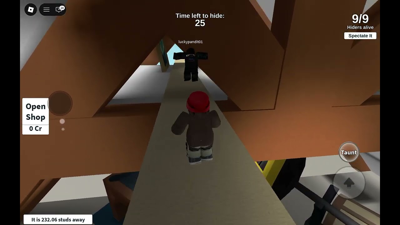 1st part of hide and seek 