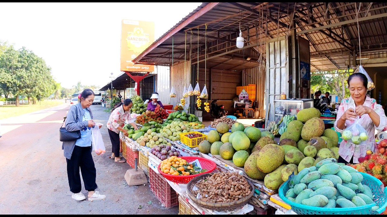 Roadside Fresh Fruit and Food in Countryside, Cambodia - Best Street Food Tour in Provinces, & City