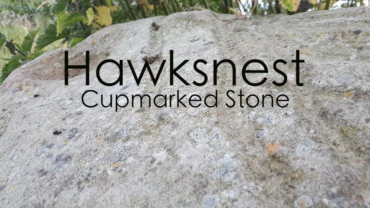 The Hawksnest Cupmarked Stone