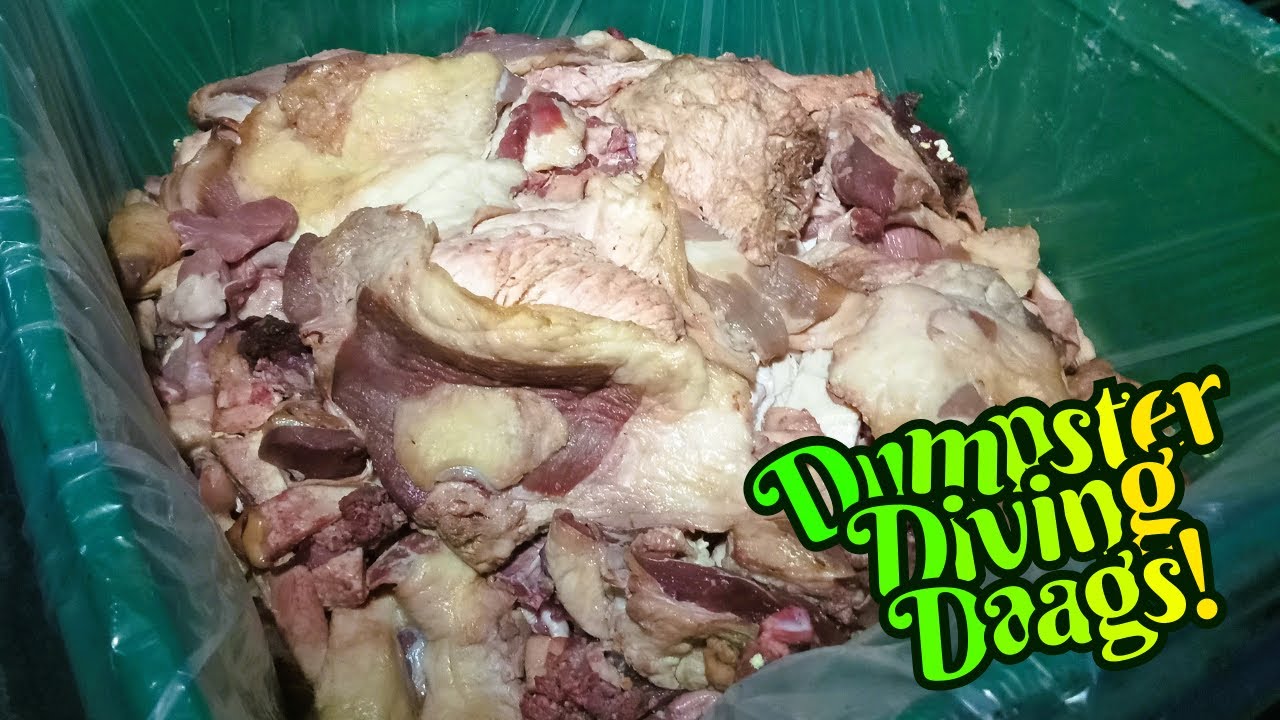 Dumpster Diving For Food Eatin Good Tonight!
