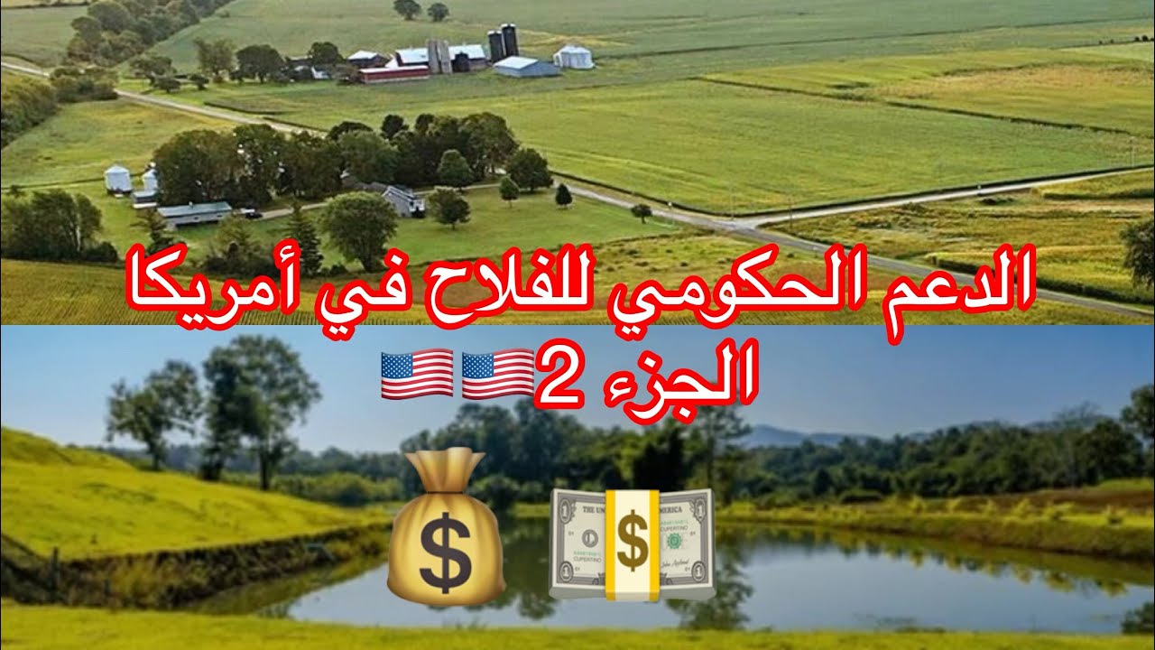أنواع الدعم الحكومي للفلاح في أمريكا 🇺🇸🇺🇸💰💵💰الجزء 2
