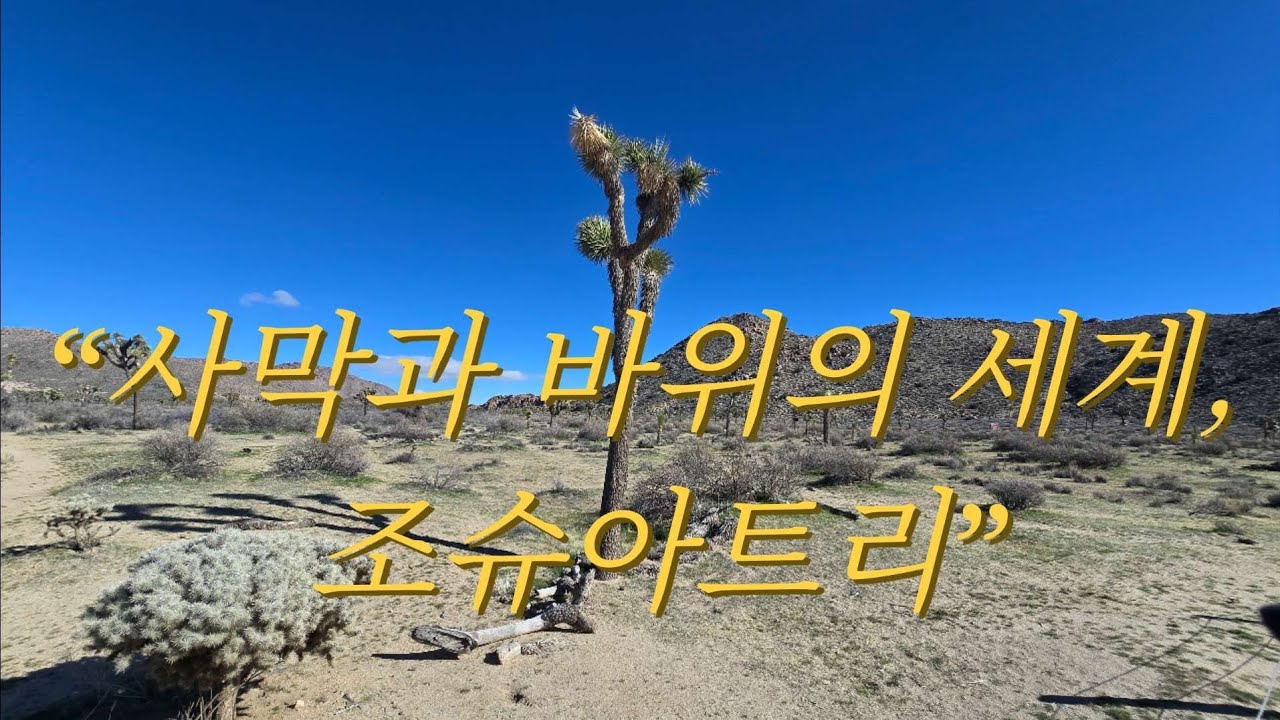 “조슈아트리 하루 완주!”