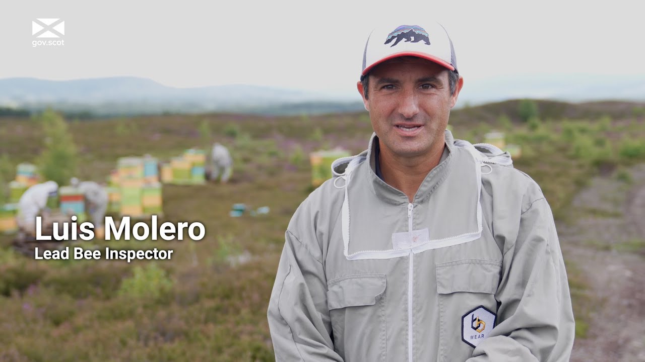Scottish agriculture - Bee inspections