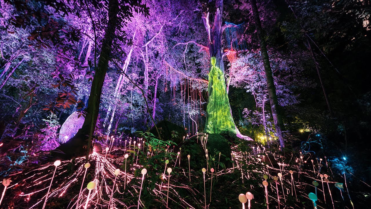 WE VISIT THE DREAM FOREST IN LANGKAWI MALAYSIA 2026 - Review at the end