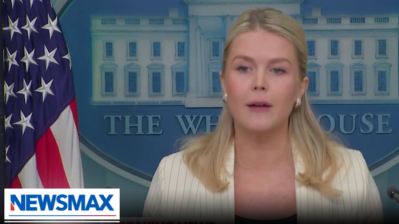 'Not victimless crimes': Leavitt responds to media deportation criticism