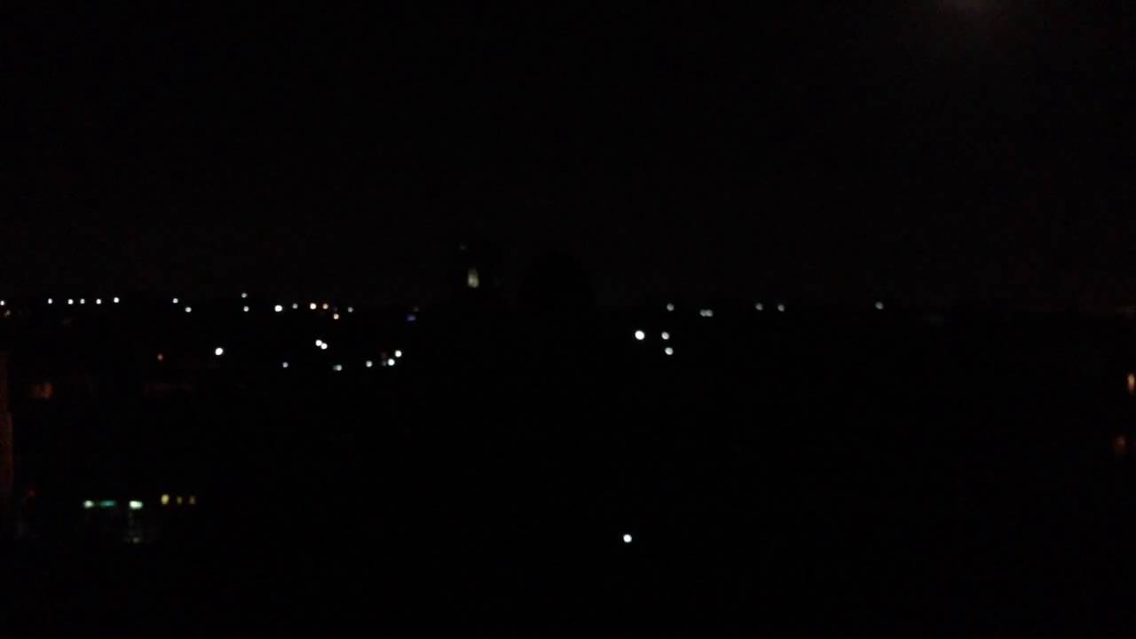 Palmera de la virgen. Elx en Festes. Nit de l'alb&agrave; 2014.